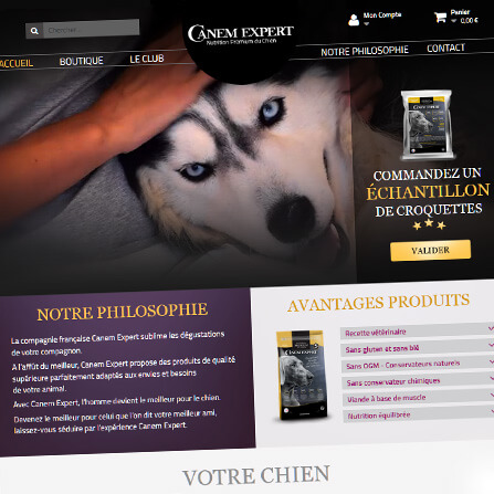 logo Canem